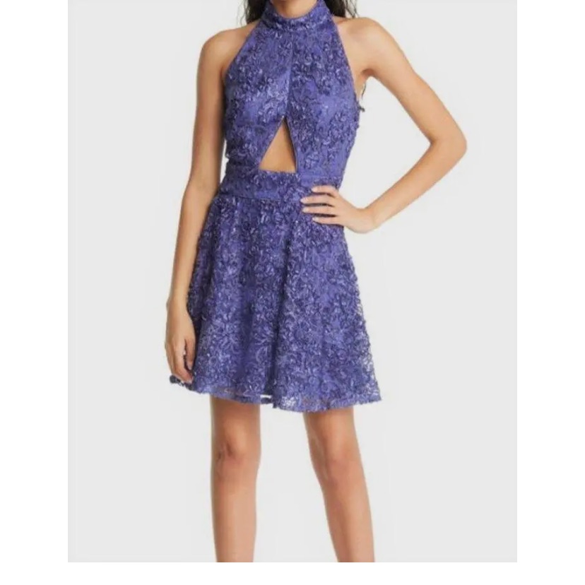 Nwt Sho Dress - Violet - Size 6